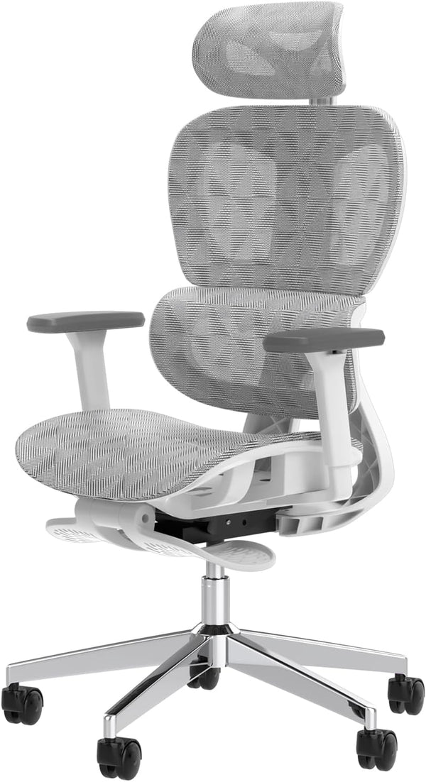 Ergonomic Mesh Office Chair with 3D Adjustable Armrest,Plastic Frame High Back Desk Computer Chair Ergo3d Ergonomic Office Chair with Wheels for Home & Office Black G4285