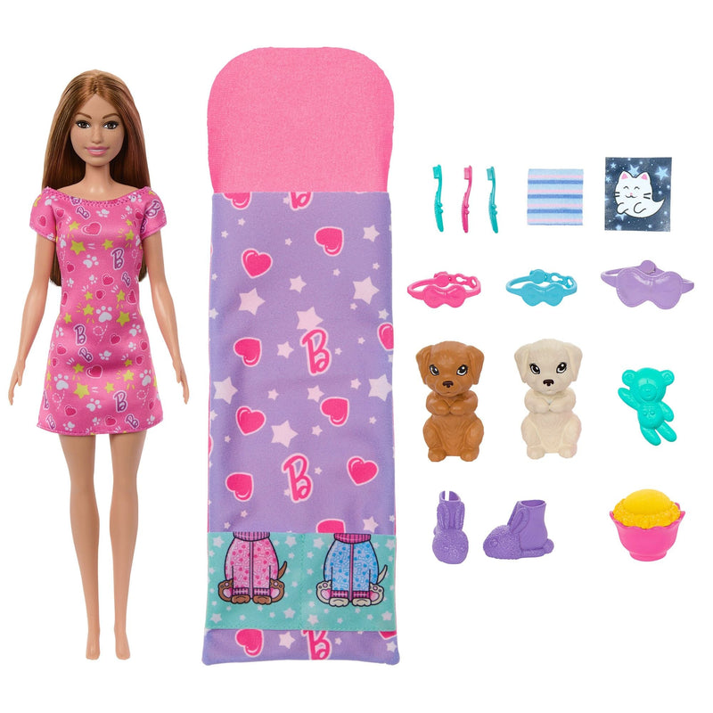Skipper Doll & Puppy Slumber Party Playset, Kids Ages 3+ B9648