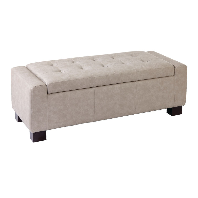Louisa Upholstered Hinge-Top Storage Ottoman/Bench With Padded Seat, Light Grey I297