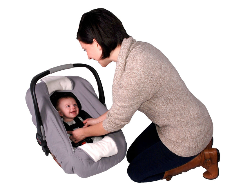 Sneak-A-Peek Infant Car Seat Cover D0374