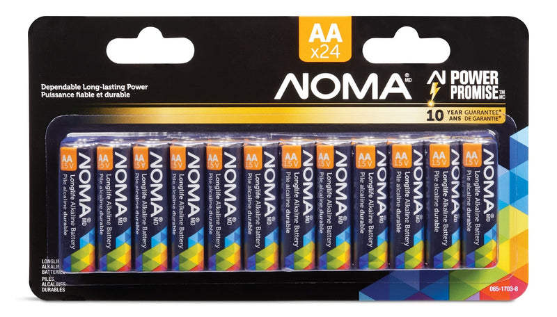 AA Alkaline Batteries, Long Lasting, All Purpose, 24-pk X6761