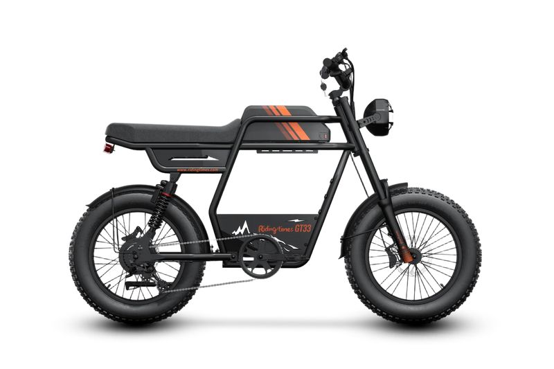 GT33 All-Terrain Cafe Racer Cargo Electric Bike Y8006